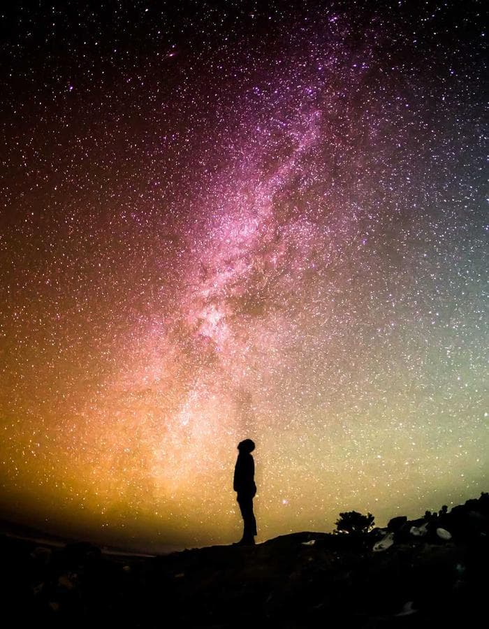 ESG & Sustainability Governance