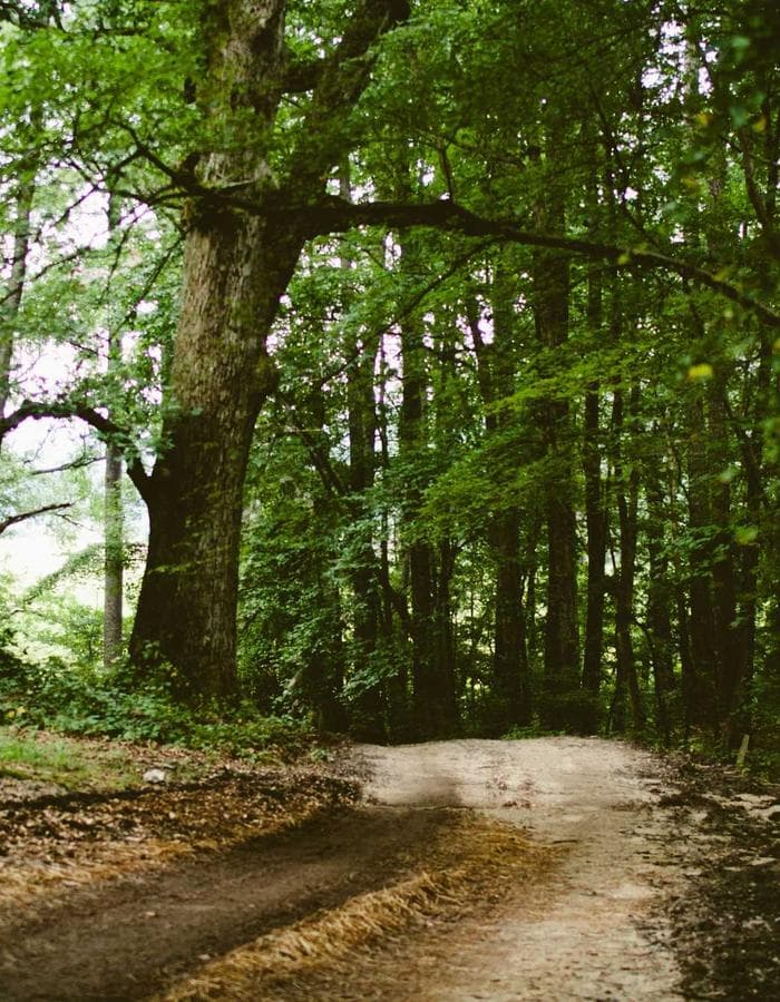 ERP & Process Governance Diagnostic